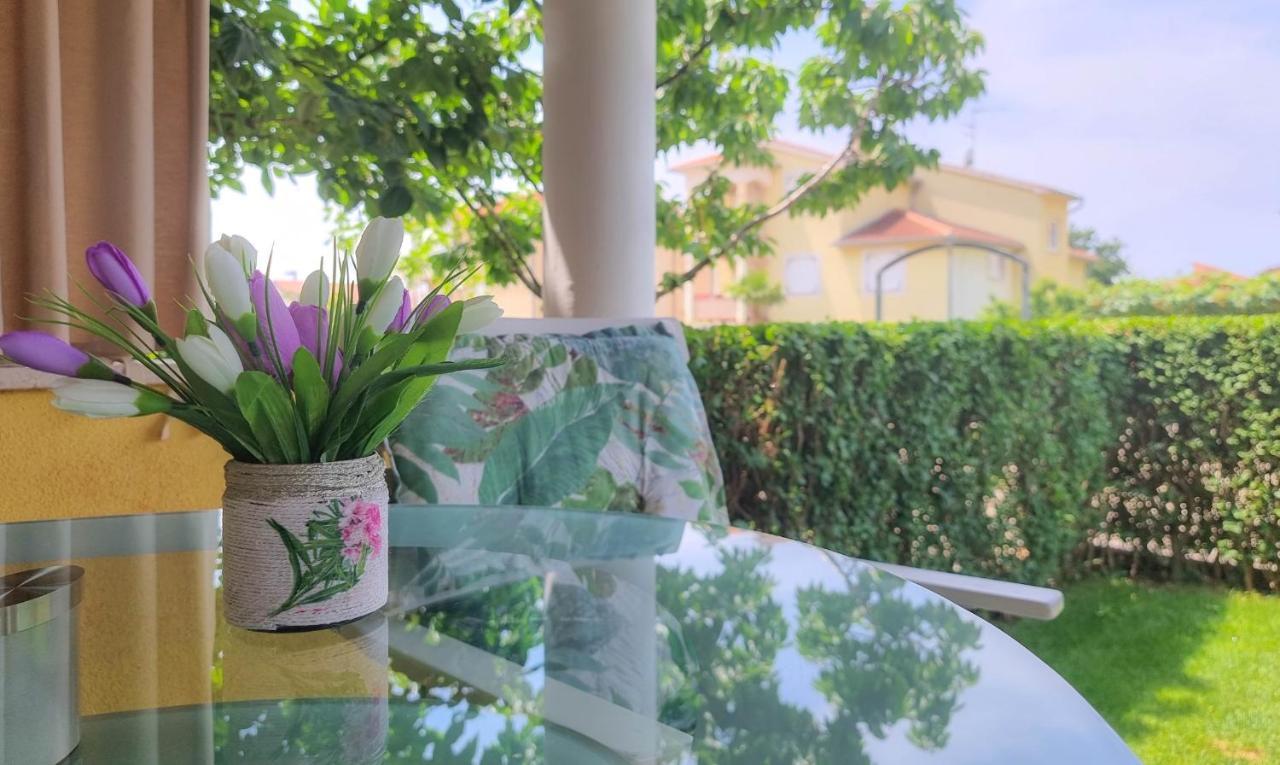 Roko Apartment Novigrad  ภายนอก รูปภาพ