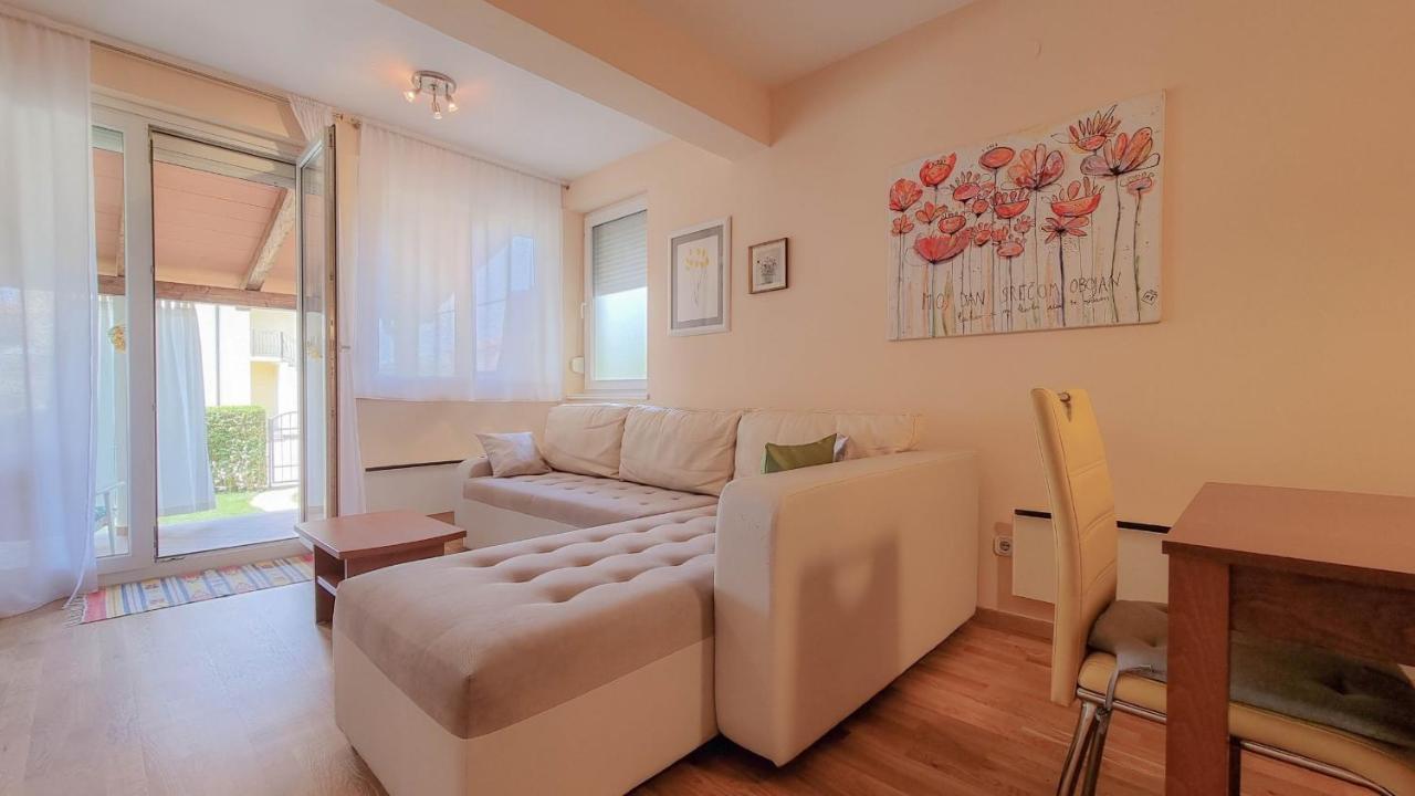 Roko Apartment Novigrad  ภายนอก รูปภาพ
